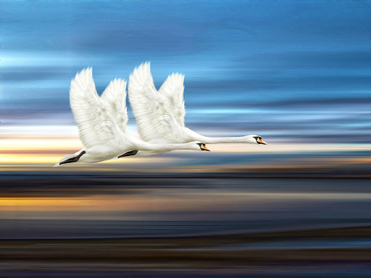 804490 (a): :2000x1500